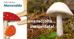 Scopri di più sull'articolo Una raccolta… inaspettata!