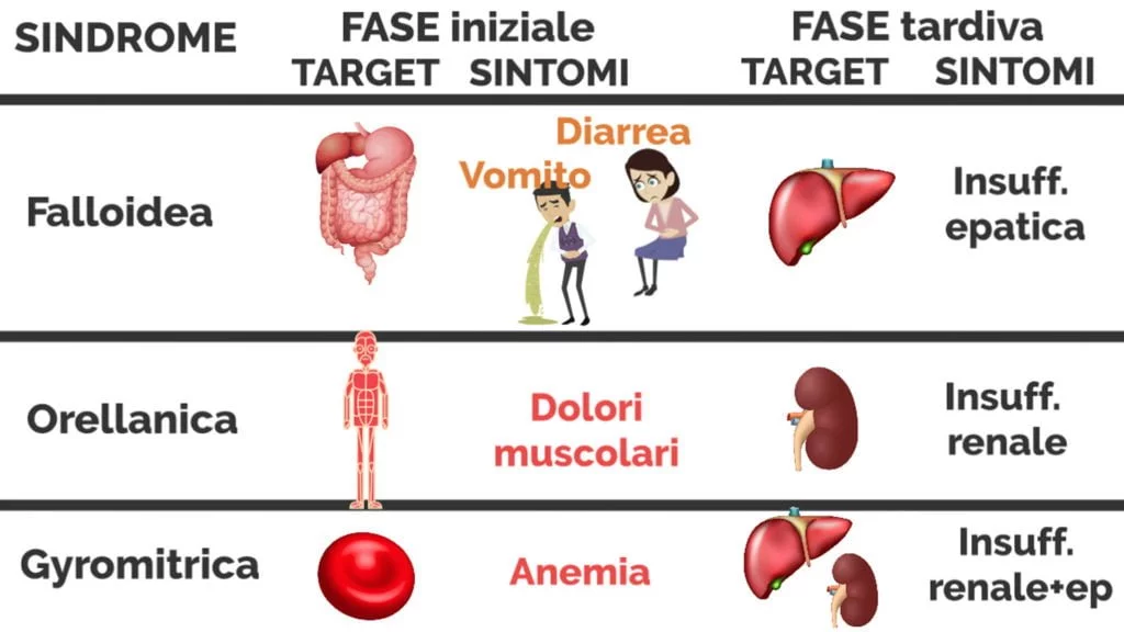 sintomi intossicazione da funghi