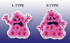 Scopri di più sull'articolo Identificate due diverse varianti di SARS-CoV-2