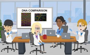 confronto dna coronavirus