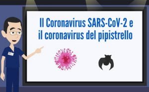 coronavirus-SARS-CoV-2-pipistrello