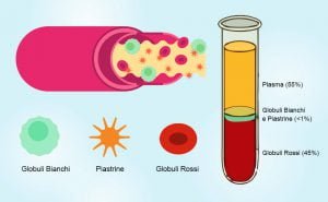 Scopri di più sull'articolo Che cos’è il plasma?