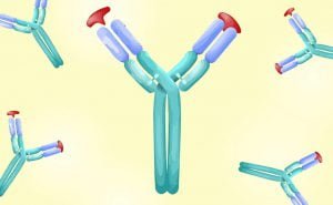 Scopri di più sull'articolo Anticorpi monoclonali disponibili contro il Covid-19