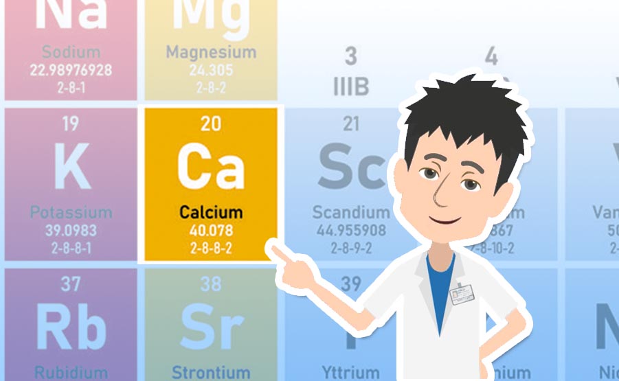 Il calcio è il minerale più abbondante del nostro organismo