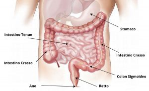 La colonscopia per valutare la salute dell'intestino