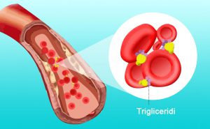 Scopri di più sull'articolo Trigliceridi: cosa sono e perché è importante monitorarli