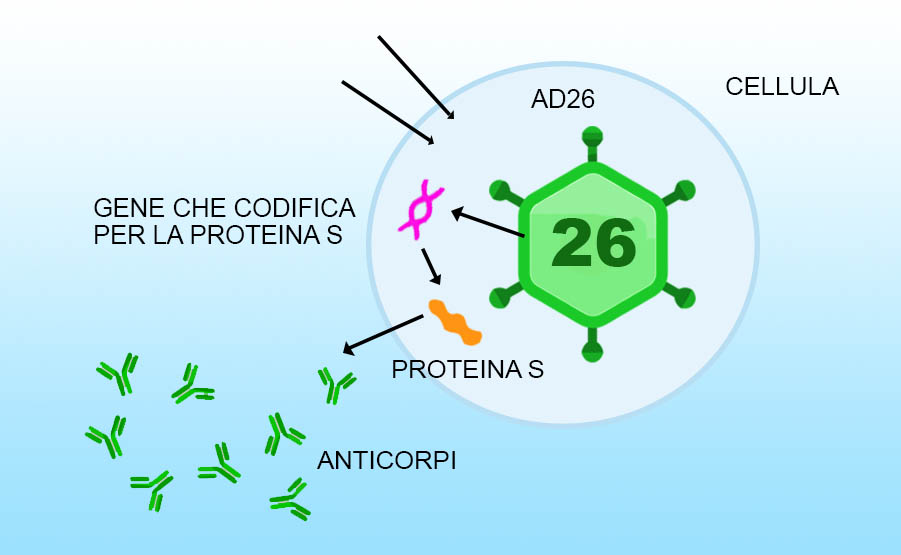 prima vaccinazione sputnik con adenovirus 26