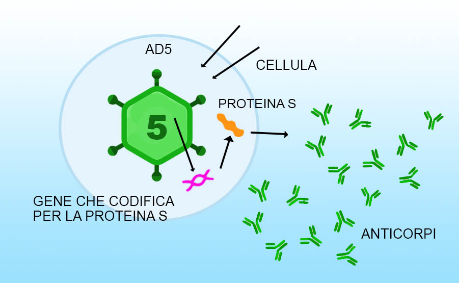 seconda vaccinazione dose vaccino sputnik V con adenovirus 5