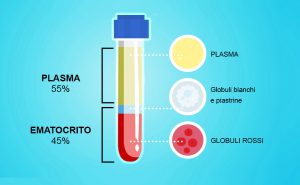 Scopri di più sull'articolo Ematocrito: perché è importante e quali sono i valori