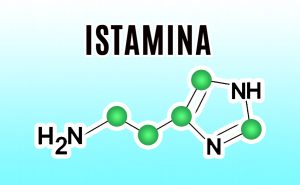 Scopri di più sull'articolo L’istamina: che cos’è, come funziona