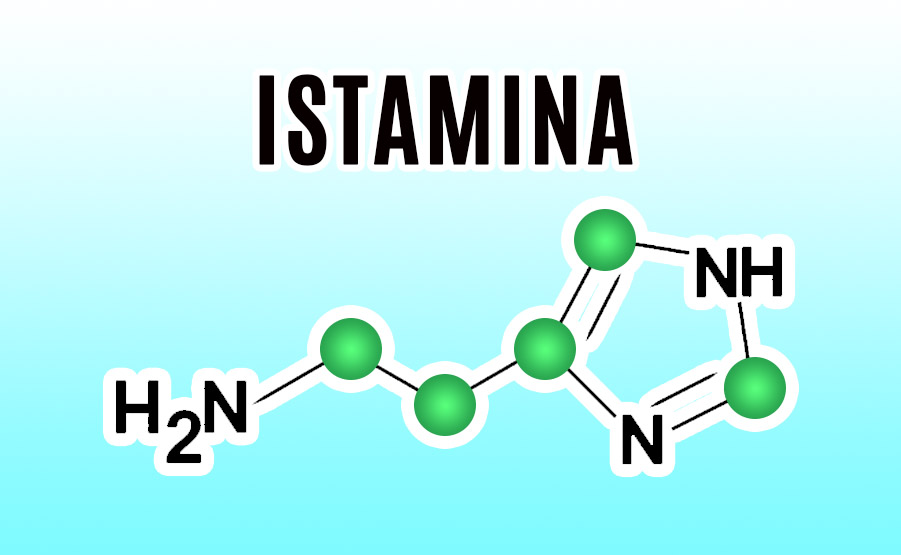 Istamina cosa è come funziona