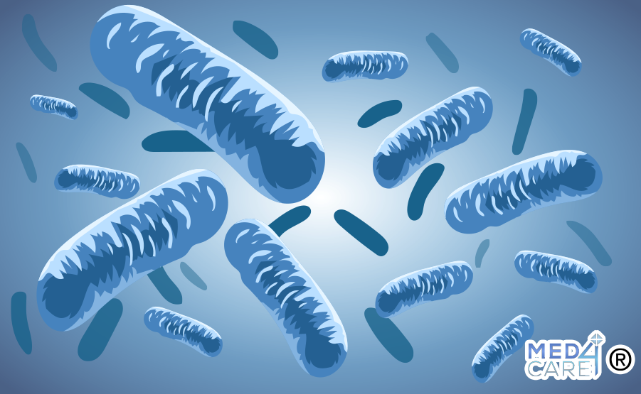 I batteri fanno parte di quello che è chiamato il microbiota umano