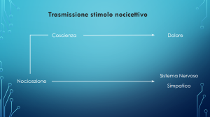 nol trasmissione stimolo noicocettivo