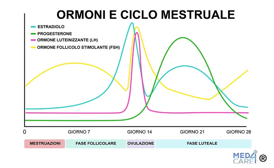 Ormoni e ciclo mestruale