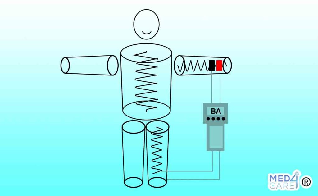 Modello a cinque cilindri, bioimpedenziometria