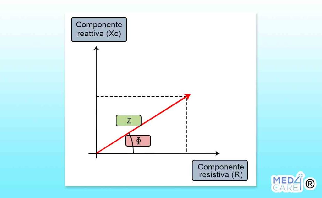 grafico resistenza e reattanza, bioimpedenziometria