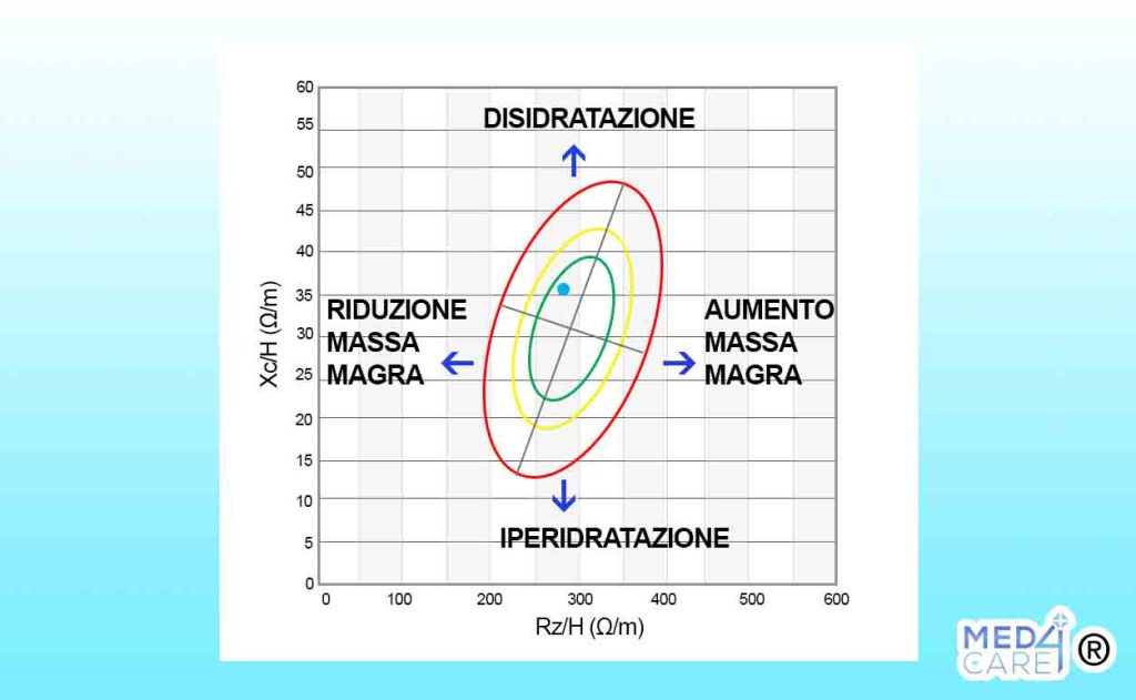 grafico angolo di fase, bioimpedenziometria