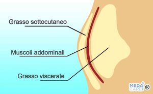 Plicometria, Differenza fra grasso sottocutaneo e viscerale