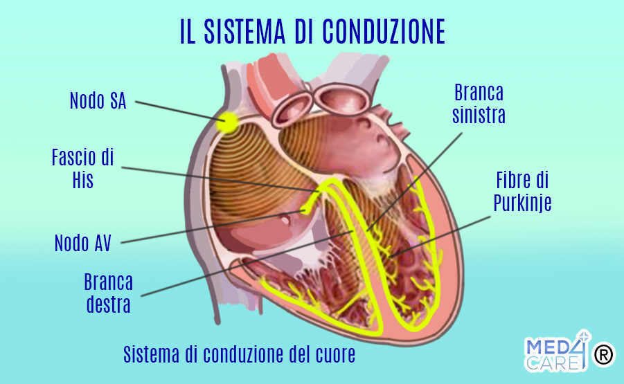 Sistema di conduzione elettrica del cuore, aritmia sinusale