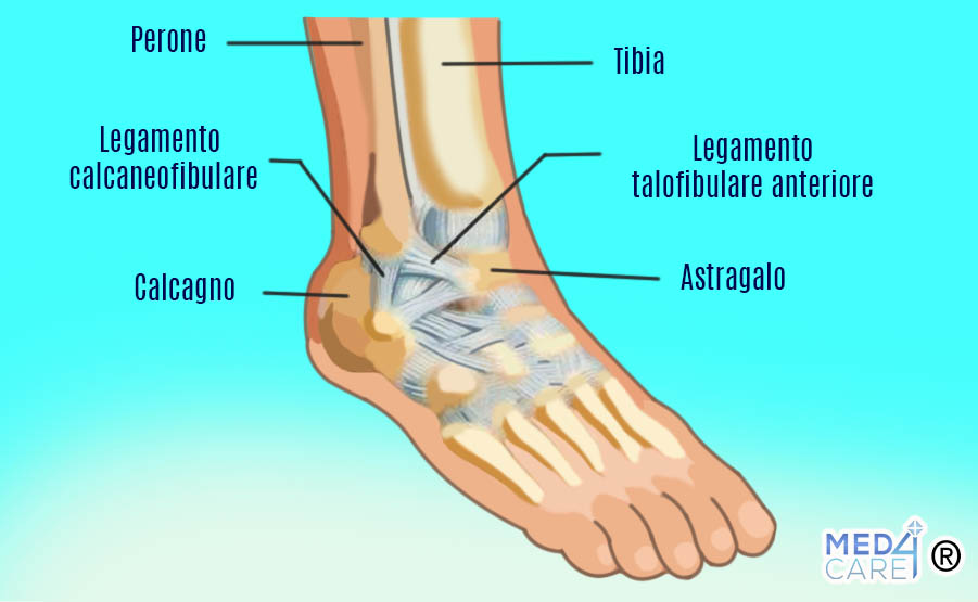 Anatomia della caviglia, dolore alla caviglia