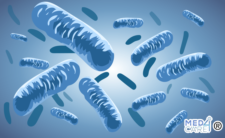 Escherichia Coli e Setticemia