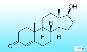 Scopri di più sull'articolo Il testosterone: l’ormone maschile