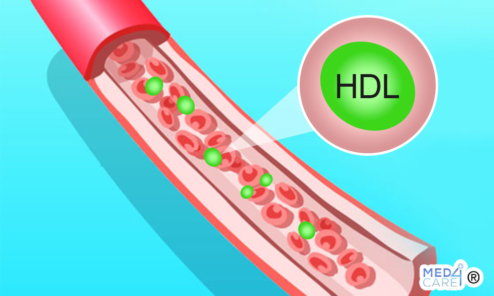 colesterolo hdl, colesterolo buono, colesterolo