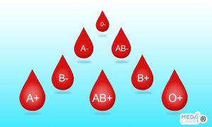 Scopri di più sull'articolo I gruppi sanguigni