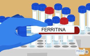 Scopri di più sull'articolo Ferritina: la proteina che immagazzina il ferro