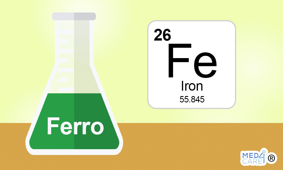 ferro, ruolo biologico del ferro