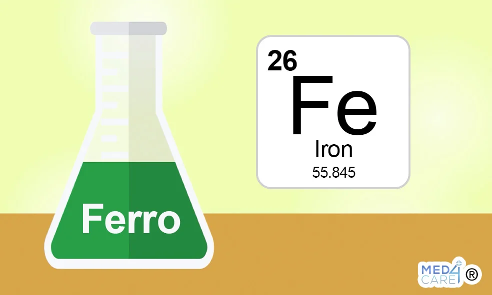 ferro, ruolo biologico del ferro