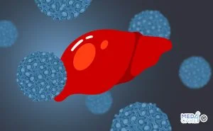 Scopri di più sull'articolo Epatite B