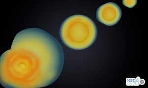 Scopri di più sull'articolo Microscopia in campo oscuro: impieghi e utilità