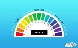pH, misurazione dell'acidità o alcalinità di una sostanza, scala di valori del ph