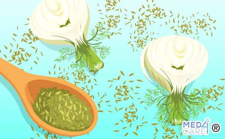 300 SEMI DI FINOCCHIO ROMANESCO- SEMI SELEZIONATI