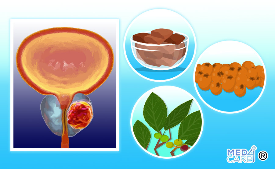 Prunus africana e cancro alla prostata
