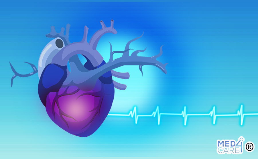 salute cardiaca spirulina, cuore