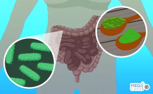 Clorella e microbiota intestinale, clorella, microbiota intestinale, effetti della clorella