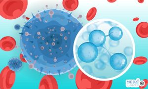 Scopri di più sull'articolo L’acqua idrogenata contribuisce a ridurre l’infiammazione e l’apoptosi nelle cellule del sangue