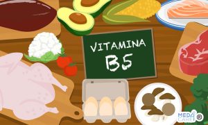 Scopri di più sull'articolo Vitamina B5 o acido pantotenico