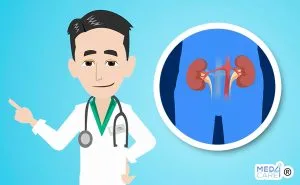 Scopri di più sull'articolo Opzioni di trattamento per la nefropatia da IgA, la causa di glomerulonefrite primaria più comune al mondo
